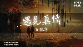 王振宇 - 遇見真情『在風裏在雨裏一直等你』【Lyrics Video】