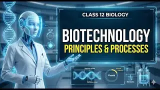 Biotechnology: Principles and Processes | Class 12 Biology | Recombinant DNA Technology | Malayalam