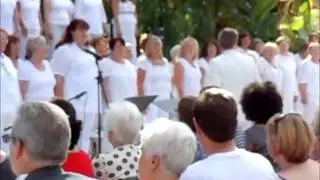 REACH FOR THE STARS