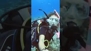 Selfie with loggerhead turtle FAIL. #scubadiving #scuba #selfie #turtle #oceanlife