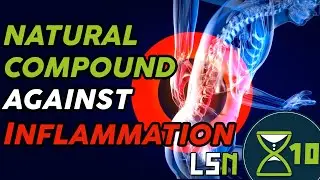 A natural herbal compound to reduce inflammation | Longevity Science News (Extra)