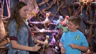 Windtraders - Pandora: The World of AVATAR - Disney's Animal Kingdom