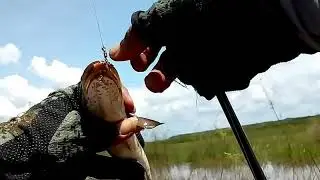 SPOT BANJIRAN IKANNYA GANAS GANAS...BIKIN PUAS || Mancing LIAR || [ Wild ] Fishing Adventure #05