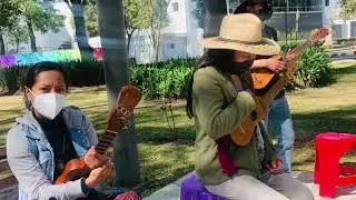 Calmecac Xochipilli & Colectivo Tolo: El son jarocho como herramienta en el tejido social