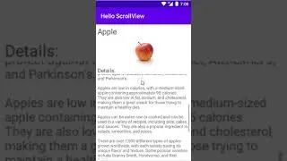 Android ScrollView Example Output | Android Studio Tutorial For Beginners | Kotlin and Java
