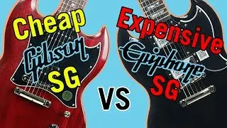 Cheap Gibson SG vs Expensive Epiphone SG Tone Comparison