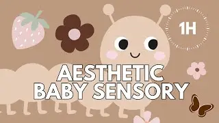 Morning Baby Sensory 🌤 | Beige Garden | Low stimulation Visuals & Calm Music | 1 HOUR