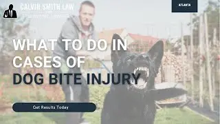 Atlanta Dog Bite Lawyer | You Pay $0 Unless We Win
