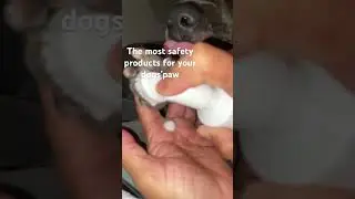 Wet Ones is a real safety&rsquo;s product for dogs 100% recommended.              