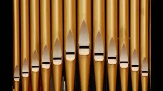 Pipe Organ - moderato_06272010