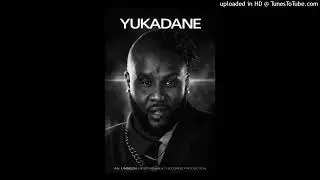 Yukatan Ye & Great Dane x Ain Goin (Fly Shit)