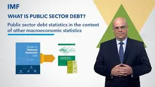 Public sector debt statistics in the context of other macroeconomic statistics