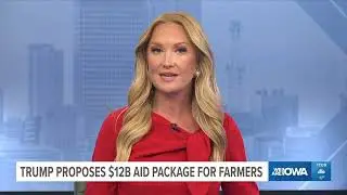 Trump is proposing a $12B aid package for farmers hit hard by his trade war with China