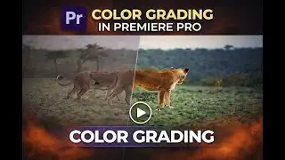 Color Grading in Premiere Pro &ndash; Step by Step. Premiere Pro me Color Grading kaise Kare?