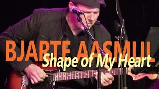 Shape of My Heart BJARTE AASMUL | VHO