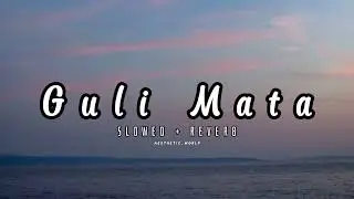 Guli Mata - Saad Lamjarred | Shreya Ghoshal | Jennifer Winget | Slowed + Reverb | Latest Songs 2026