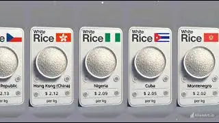 💰 White Rice Prices by Country &ndash; Most Expensive to Cheapest in 2025!