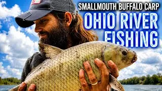 Smallmouth Buffalo on the Ohio River - Catch & Release Clip (BIG FISH MISSED)
