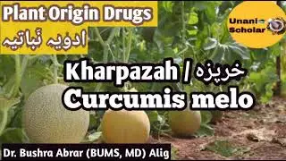 Karpaza / Kharbuza, خرپزہ, Advia Mufradah lecture with slide presentation||unani scholar