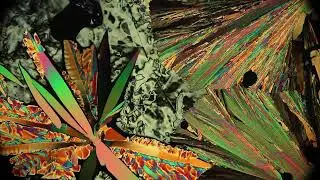 Thomas Poli - Flavien Th&eacute;ry - Fred Murie - Cette obscure clart&eacute; / Cristaux Liquides