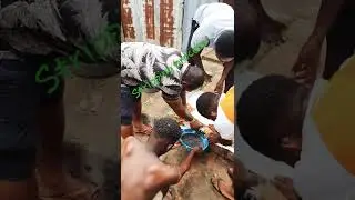 Stripping Process in Hatching....(part 1)