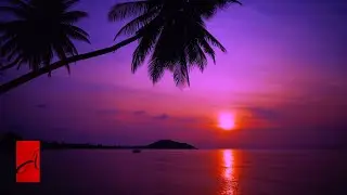 Acoustic Guitar Music With Sunset Beach Waves (1 Hour)
