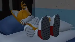 Tails sleeping at night (For @toihalawi5543 & Bella and Pets)