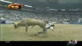 Lone Wolf bucks Mike White - 02 PBR New Orleans