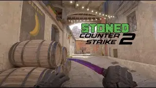 What 550 hours in Counter Strike 2 looks like