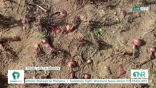 Post-Harvest Losses: Tegbi Farmers Demand Storage and Processing Plants