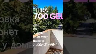 🪟  #Сдам  #Квартиру 🛋 #3комнаты🚪 #2спальни🪜 2/5 этаж, 65 м2🎢 Улица Тамар Мепе(Бензе)🌐Интернет🚗