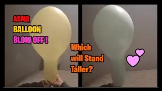 GREEN vs YELLOW which will stand tallest?| ASMR Balloon Blow Off! #balloonasmr  #balloonblowing