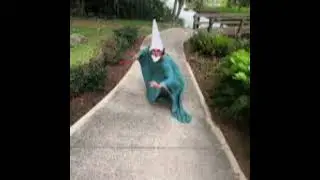Blod Besvimelse - Misanthrop (Gnome TikTok Meme Song)