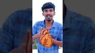 Famous Indian Beer Highest Alcohol percentage #shorts