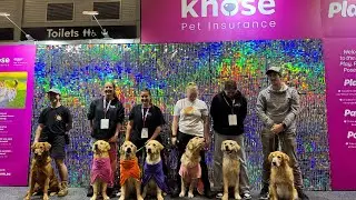 Knose at the Sydney Dog Lovers Festival 2024