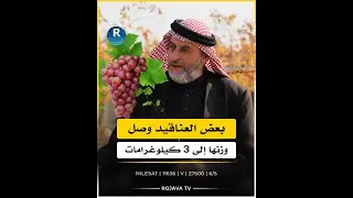 دالية عنب نموذجية في قرية حلاوة بريف الطبقة