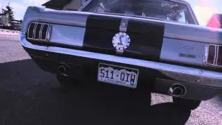 1966 Mustang GT 350 Tribute Eleanor Style