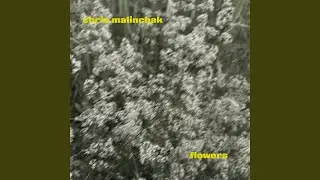 Flowers (Dub)