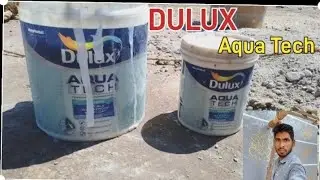 Dulux Aqua tech waterproofing 🐕!! Dulux paints #wallartisthd #dulux #aqua#paints#vedio
