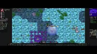 Novo melhor SPOT pra usar MEW2 card por EXP. MT SILVER 250+ Qwilfish