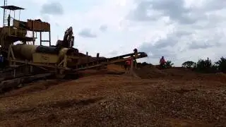 Minatura Pelangio Plant Feb 14 ' 15
