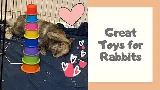 Rabbit Toys Your Bunny Will Actually Love
