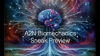 Sneak preview: A2N Biomechanics module