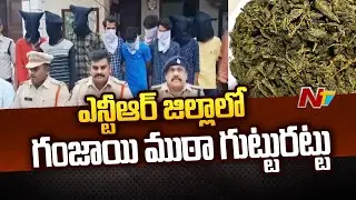 NTR District Police Caught Ganja Smuggling Gang In Tiruvuru | Ntv
