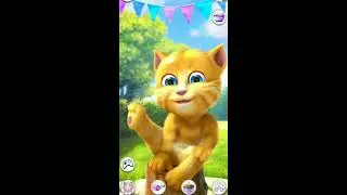 Talking Ginger Live Streaming