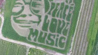 Cornstock 2019 at Mike's Maze