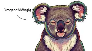 Warum es HORROR ist, als Koala geboren zu werden?