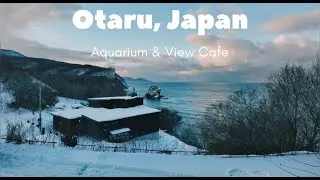 Otaru Aquarium | View Cafe | HOKKAIDO Japan | Travel with Books Blues