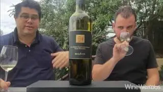 2015 Darioush Signature Sauvignon Blanc Mt Veeder Napa California White Wine