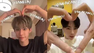 [Vietsub] Không ấy bữa sau cty cho 2 người này live với nhau luôn đi ạ =)) #hwabin #hwarang #hanbin